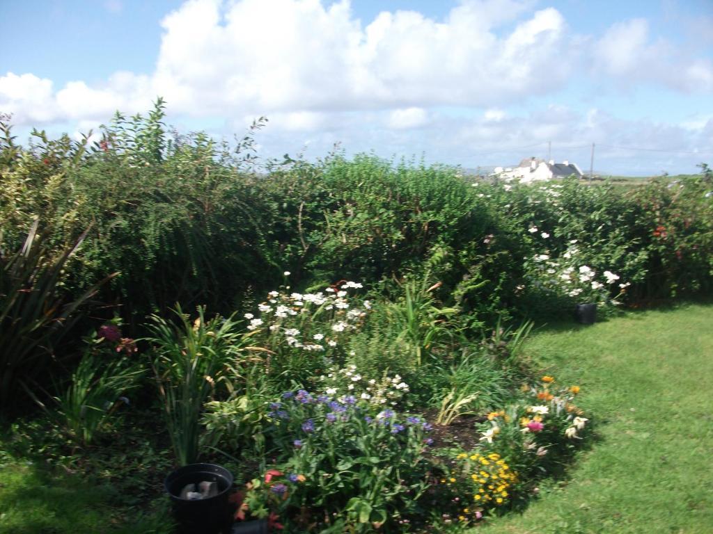 Fuchsia House Bed And Breakfast Connemara Renvyle Exterior photo